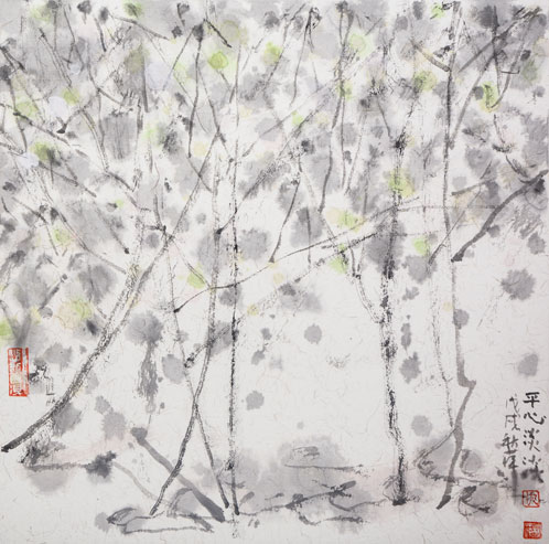 版纳印象4