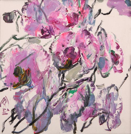 《蝴蝶花》