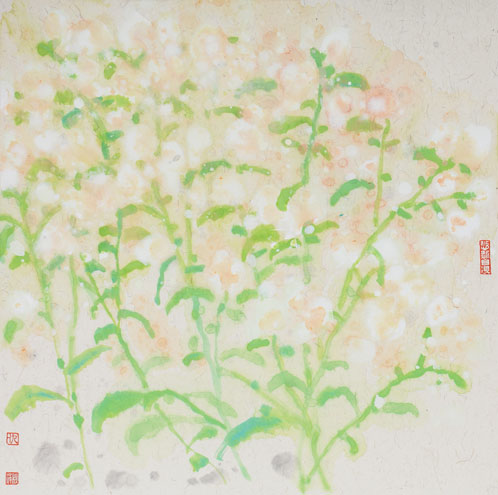 慢城花草地记忆3