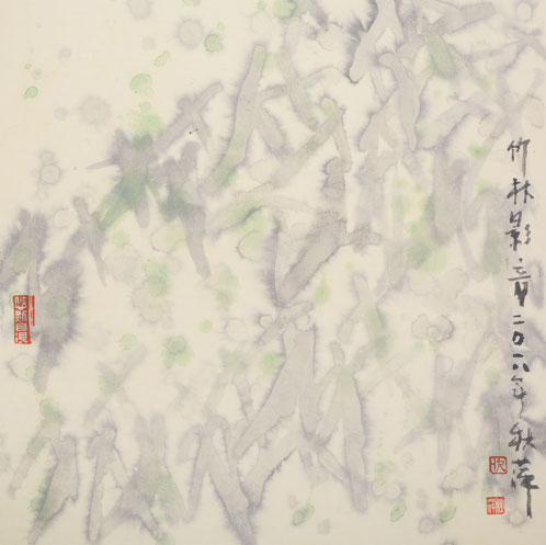 版纳竹林竹影2