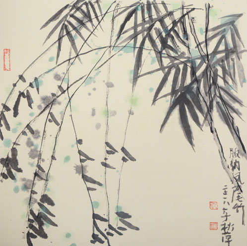 凤尾竹