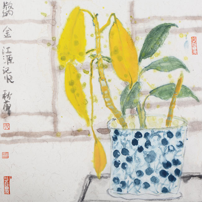版纳金江源酒店记忆