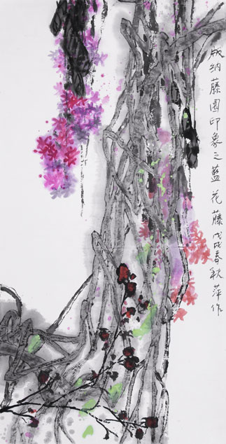 版纳藤园印象之兰花藤