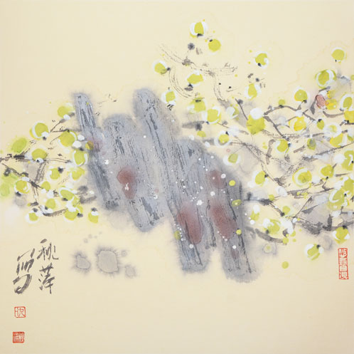 版纳印象8