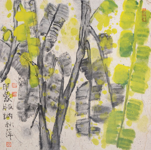 版纳芭蕉印象3