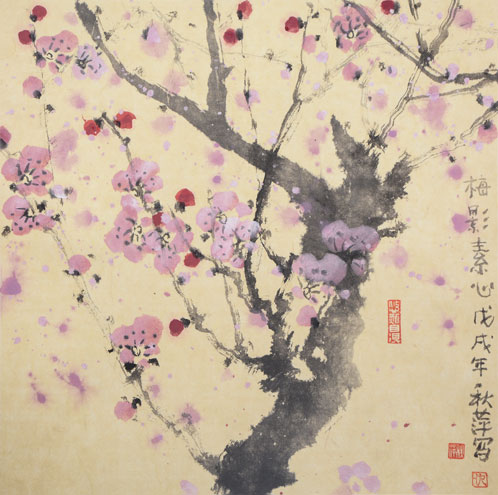 版纳记忆9
