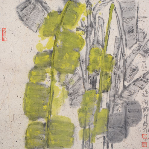 版纳芭蕉印象2