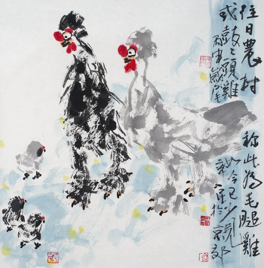 往日农村毛腿鸡