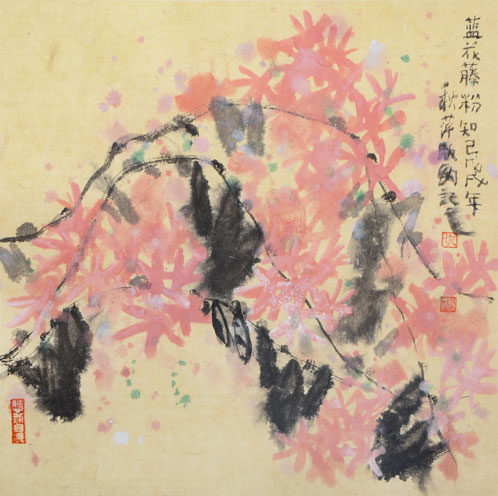 版纳记忆7